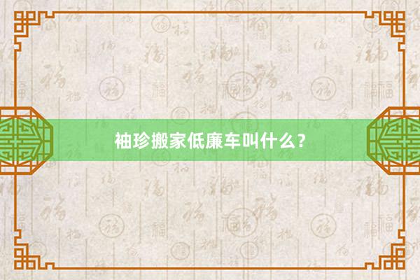 袖珍搬家低廉车叫什么？