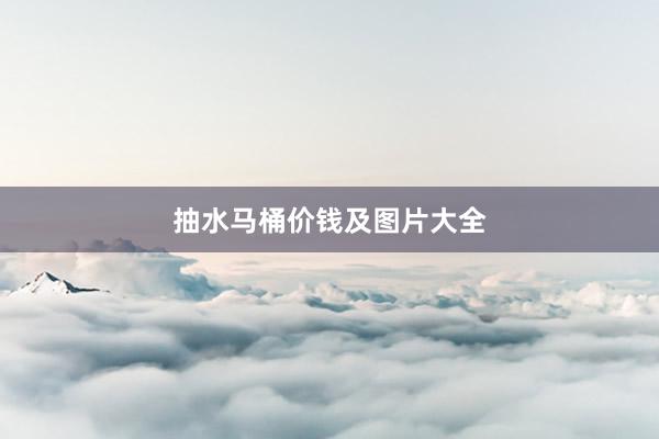 抽水马桶价钱及图片大全