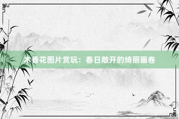木香花图片赏玩：春日敞开的绮丽画卷