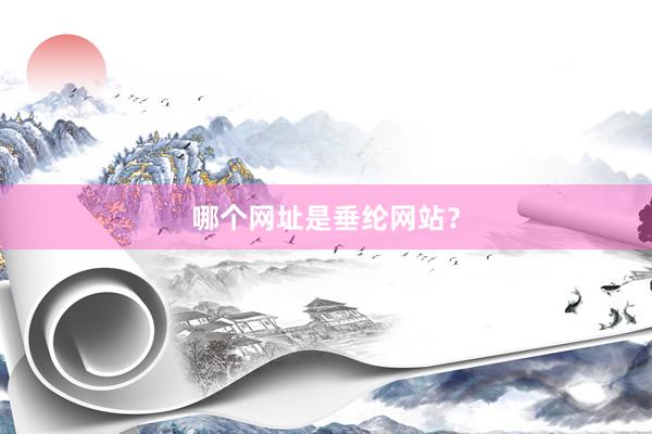 哪个网址是垂纶网站？